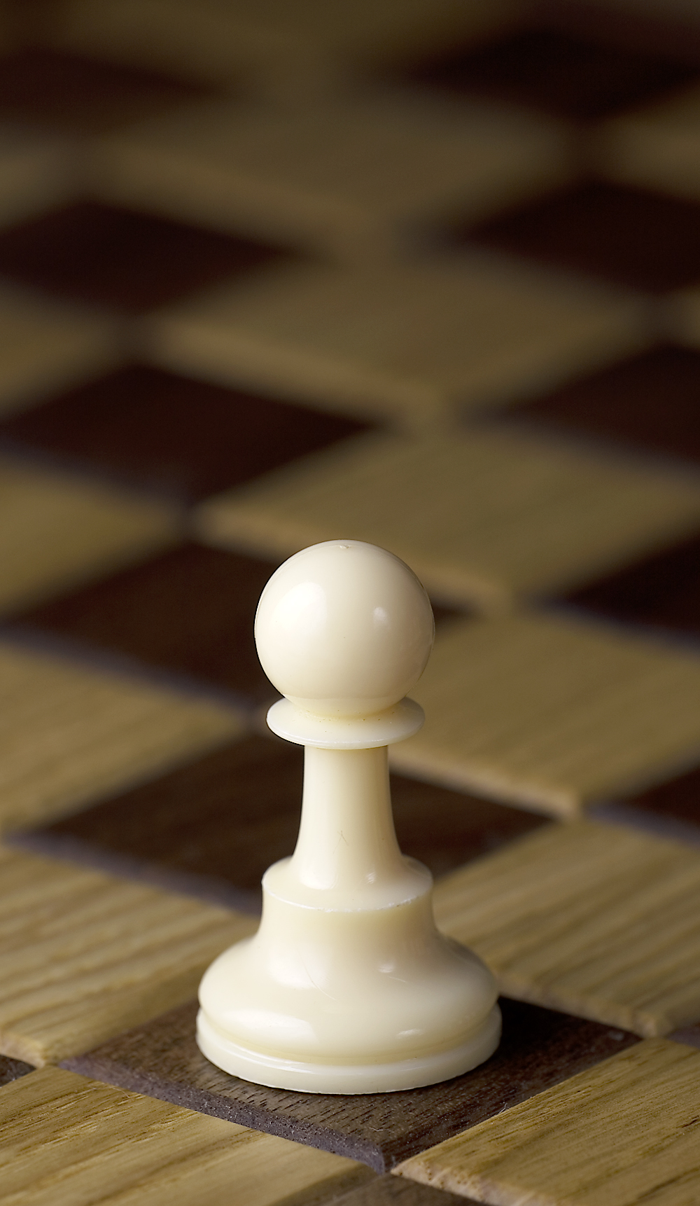 Chess_piece_-_White_pawn